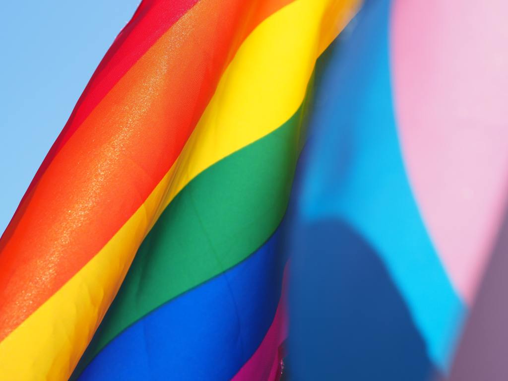 Close up photography of a rainbow flag. 