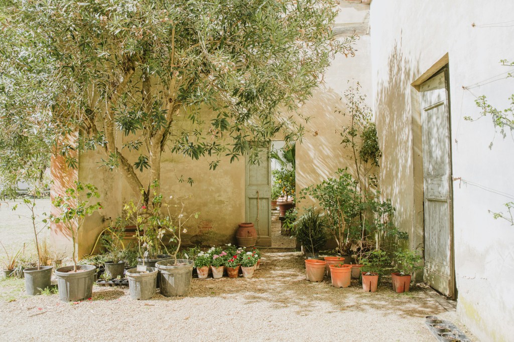 A group of potted plants in front of a building. 